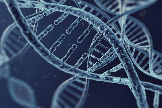 dna
